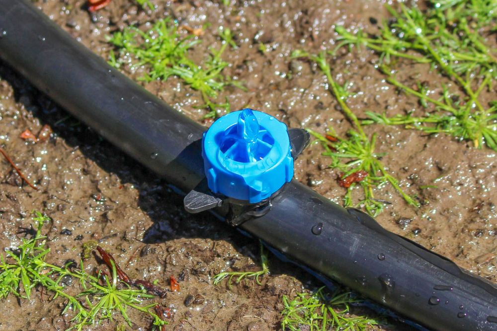 Gotero En Línea 4 L/H ABD Agro